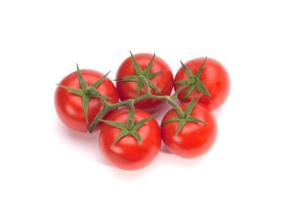 Pomodoro-grappolo-rosso-coop-agricola-san-leone